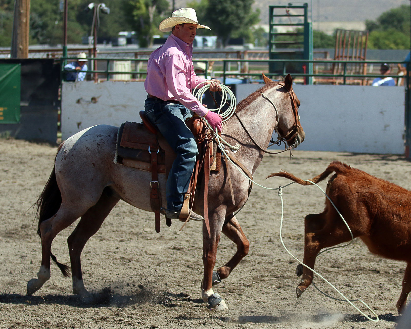 2018 Elko County Fair Open Branding Finals (26).JPG